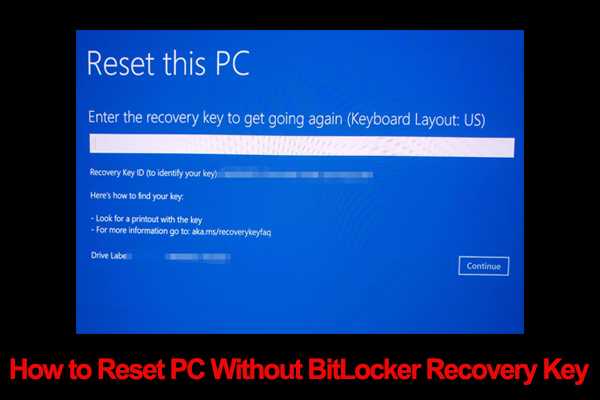 Identifying Your Windows 11 Product Key Location