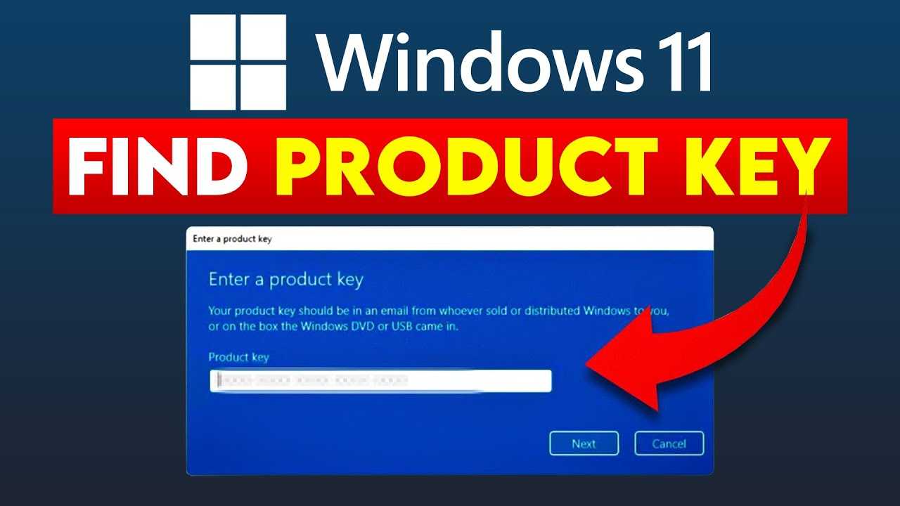 Using Command Prompt to Retrieve Your License Information